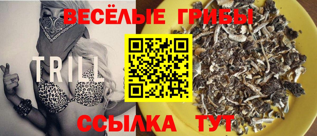 Галлюциногенные грибы MAGIC MUSHROOMS  Вход с VPN  продажа наркотиков  Псилоцибиновые грибы ЛСД  Братск 